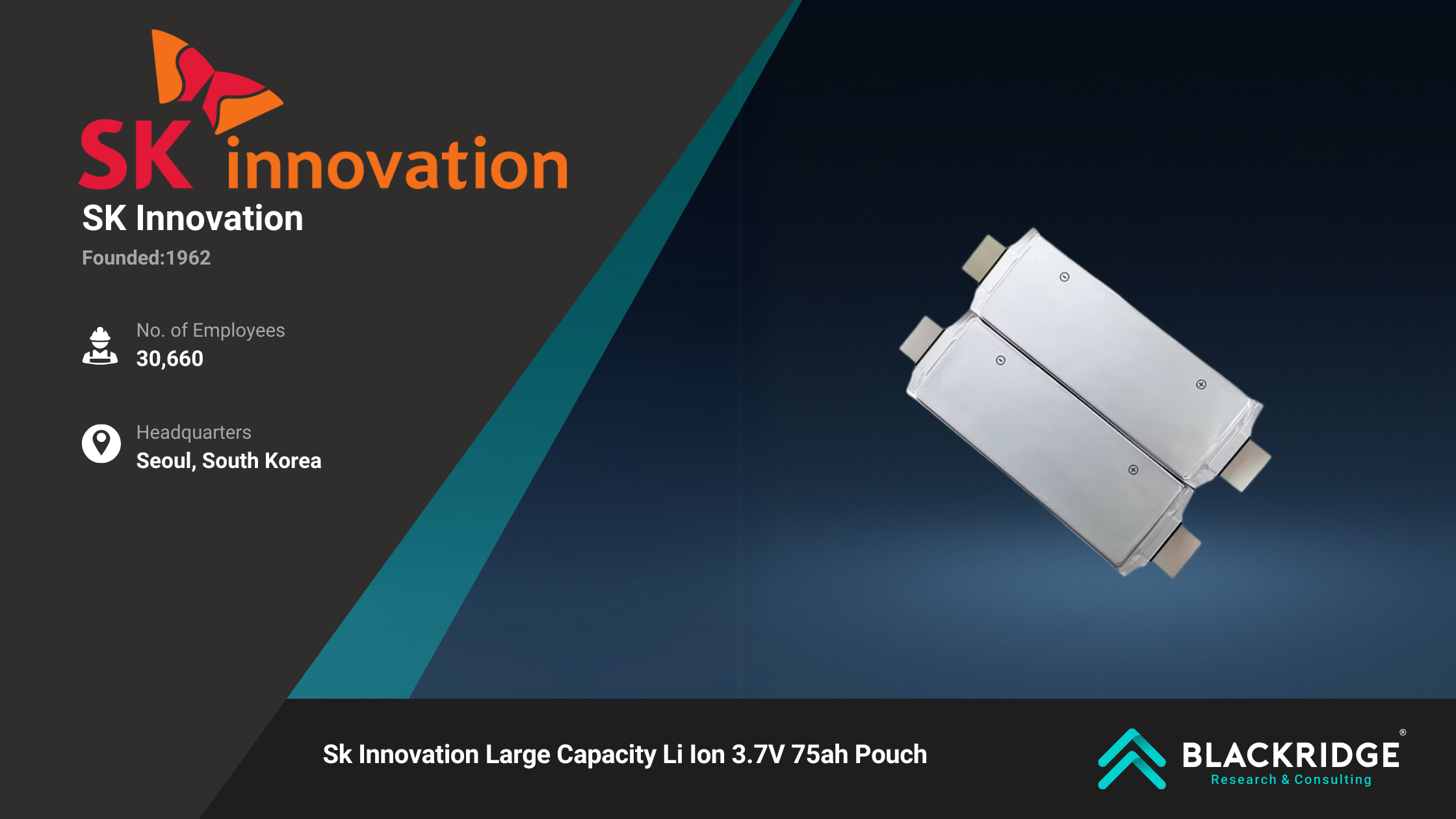 lithium-ion battery manufacturers